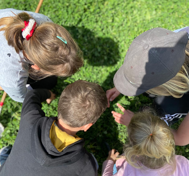 Les enfants observent une coccinelle 